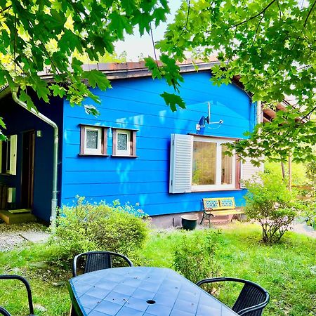 Platell Ferienhausverwaltung Sankt Andreasberg Esterno foto