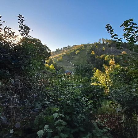 Platell Ferienhausverwaltung Sankt Andreasberg Esterno foto