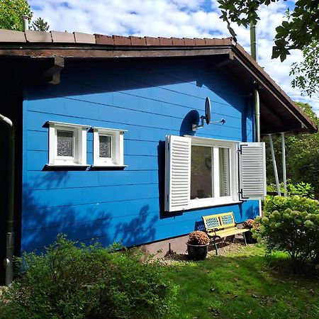 Platell Ferienhausverwaltung Sankt Andreasberg Esterno foto