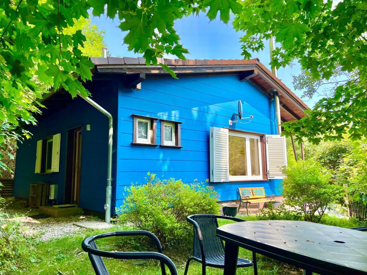 Platell Ferienhausverwaltung Sankt Andreasberg Esterno foto