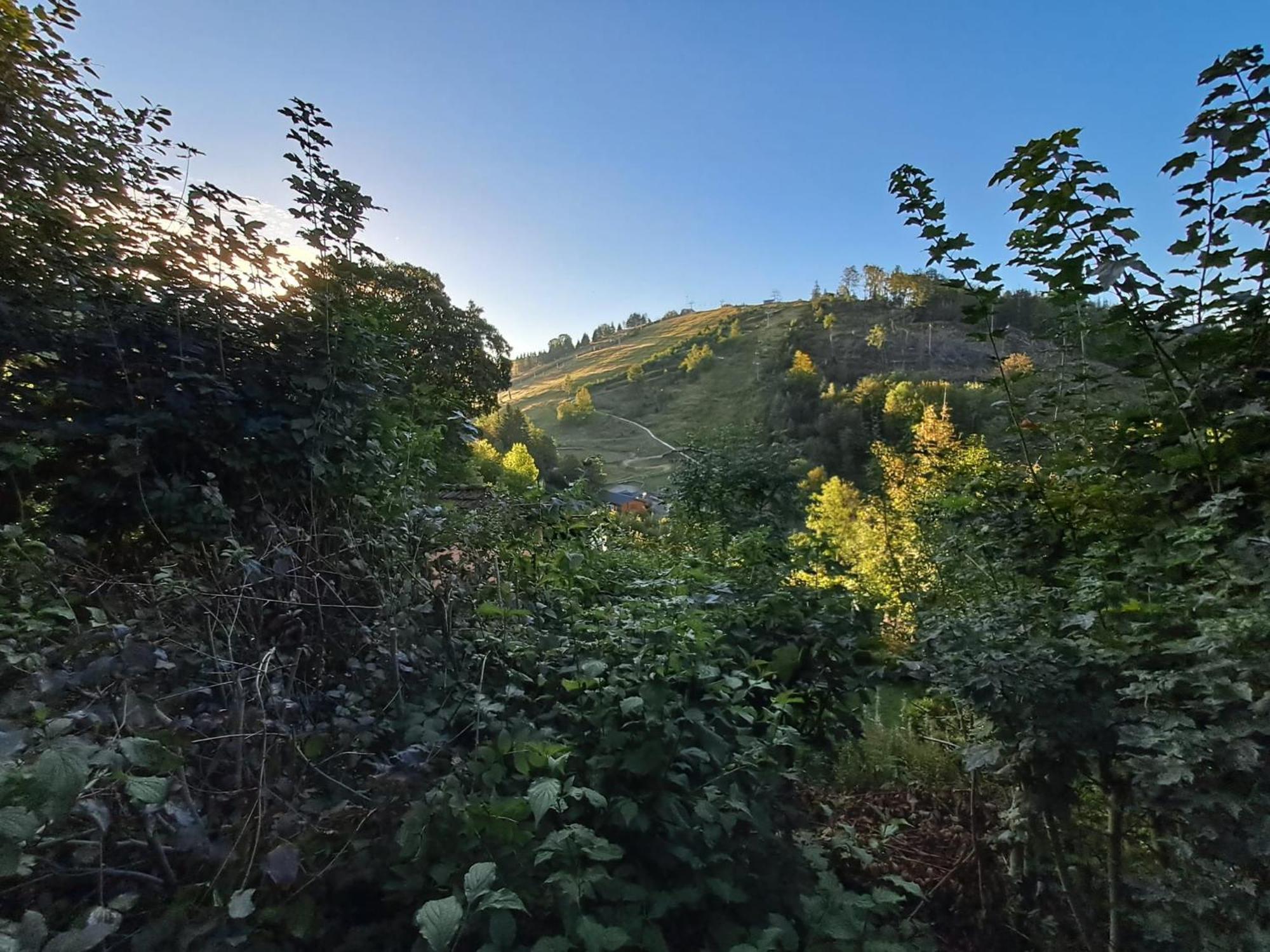 Platell Ferienhausverwaltung Sankt Andreasberg Esterno foto