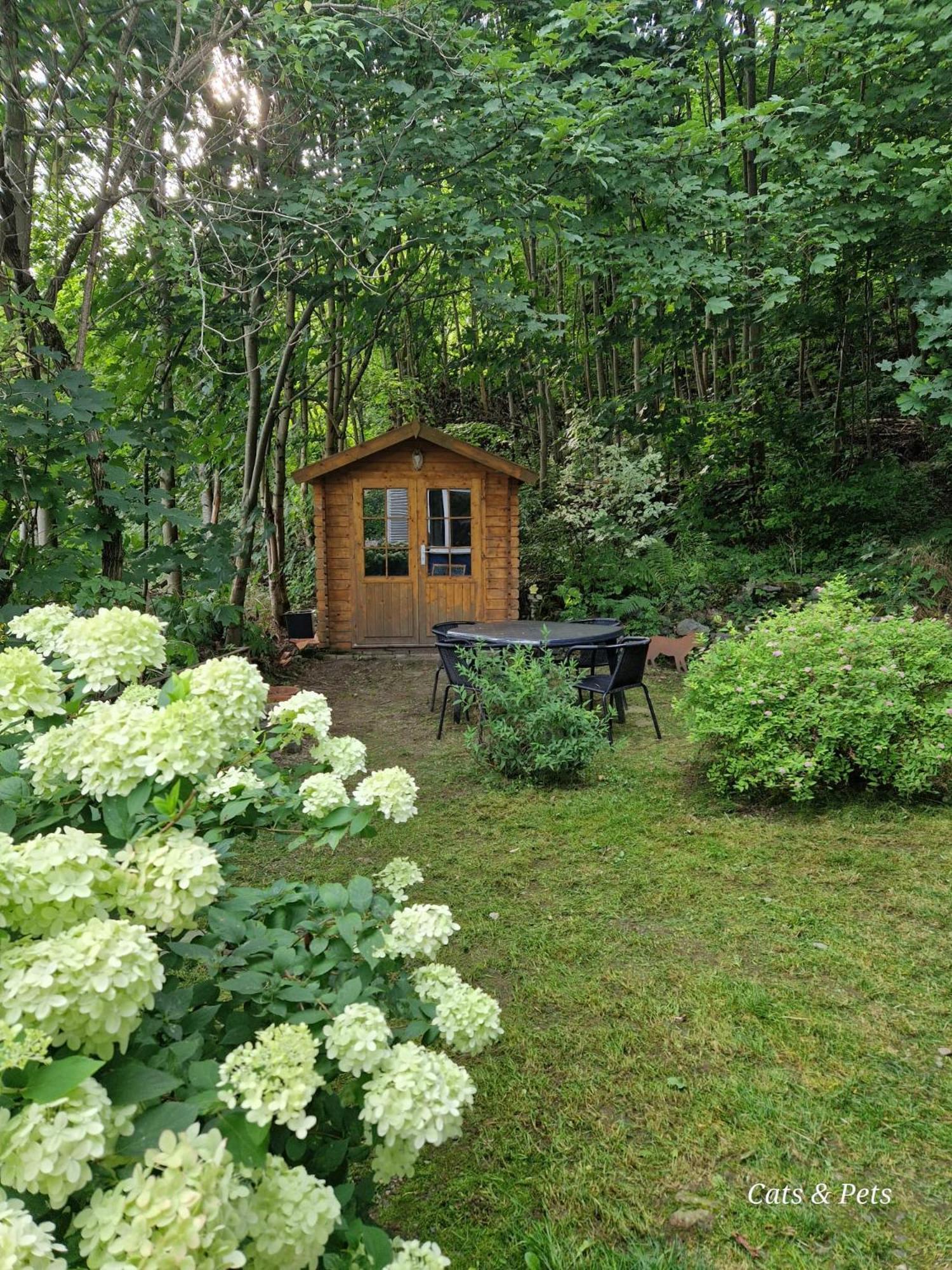 Platell Ferienhausverwaltung Sankt Andreasberg Esterno foto